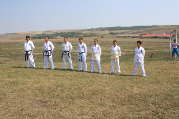 Ziua comunei Gagesti 2015 - Demonstratie de taekwondo